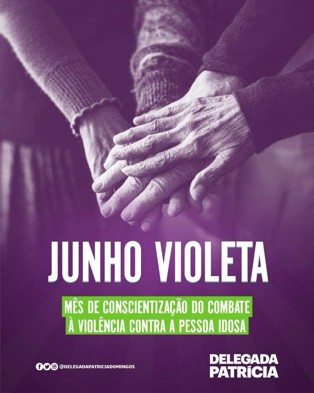 Respeitar a pessoa idosa é tratar seu futuro com respeito.