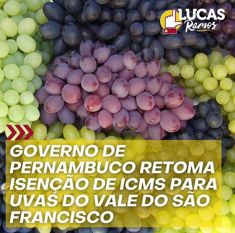Lucas Ramos celebra determinação do governador de retomar a isenção do ICMS para uvas produzidas no Vale do São Francisco
