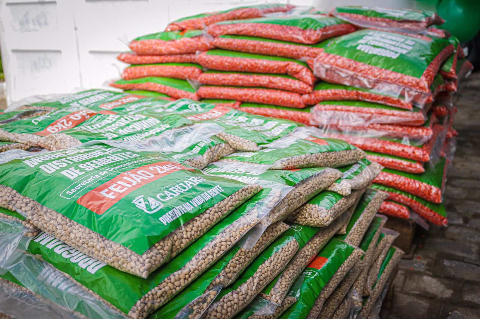 Prefeitura de Caruaru distribui sementes de milho e feijão para agricultores