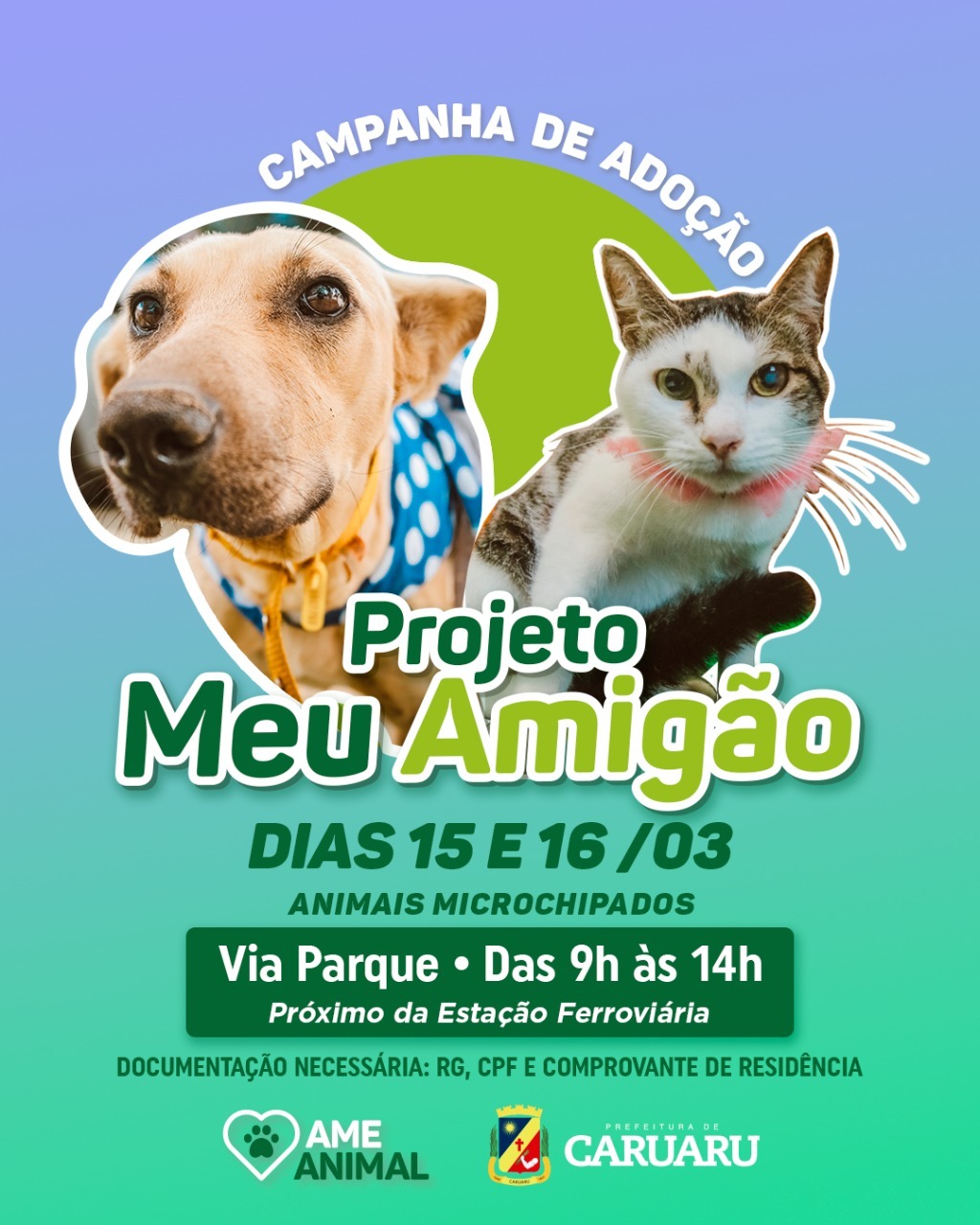 Prefeitura de Caruaru realiza campanha “Meu Amigão” para incentivar adoção de animais