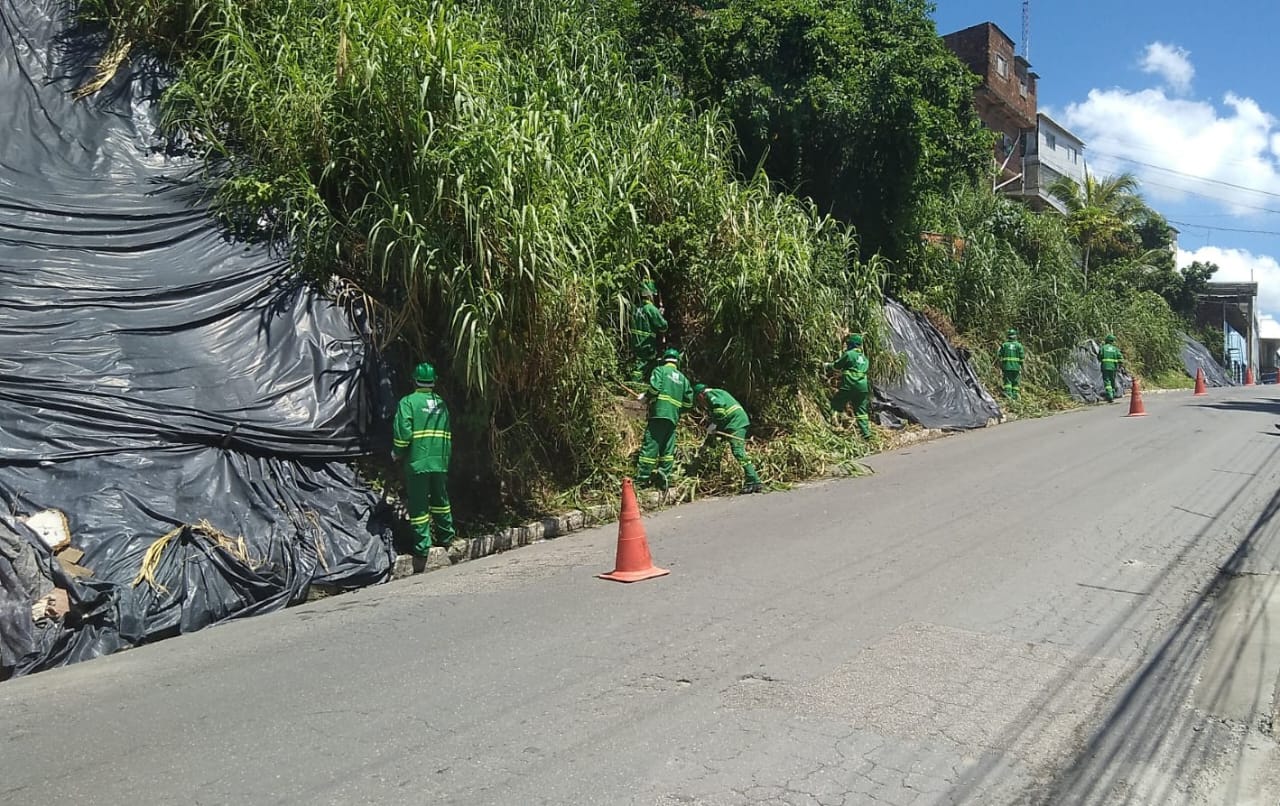 Mano Medeiros lança pacote para aplicação de geomanta em 50 mil metros quadrados de encostas do Jaboatão