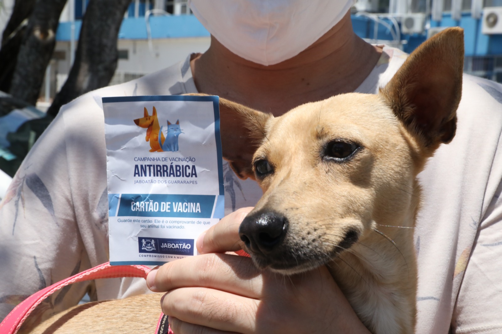 Prefeitura do Jaboatão realiza dia D da vacinação antirrábica neste sábado (9)