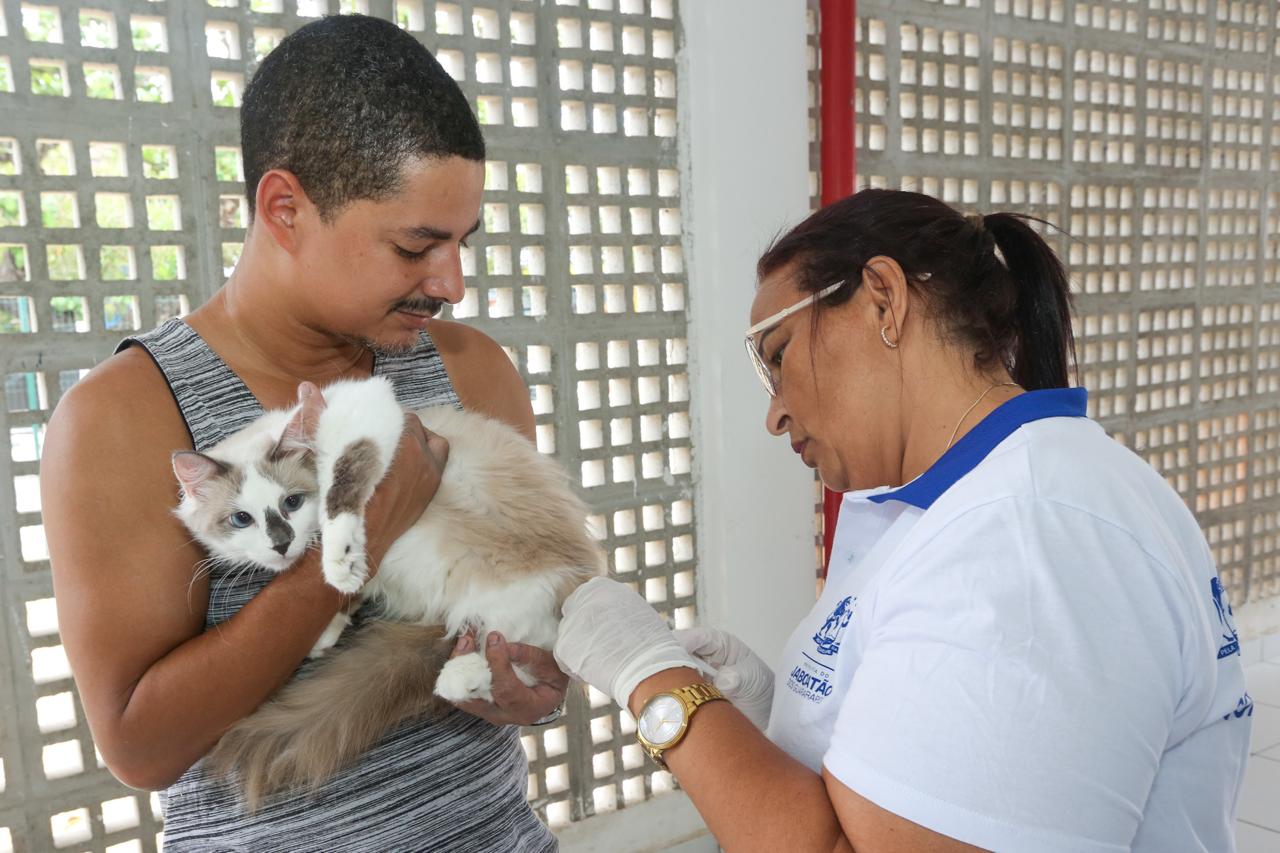 Em Jaboatão, cães e gatos são vacinados contra a raiva, no Dia D da campanha