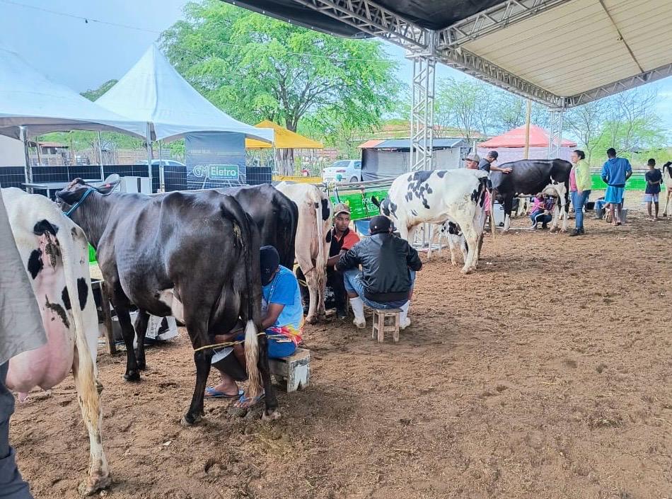 Nova Portaria da Adagro regulamenta realização de Torneios Leiteiros em Pernambuco 