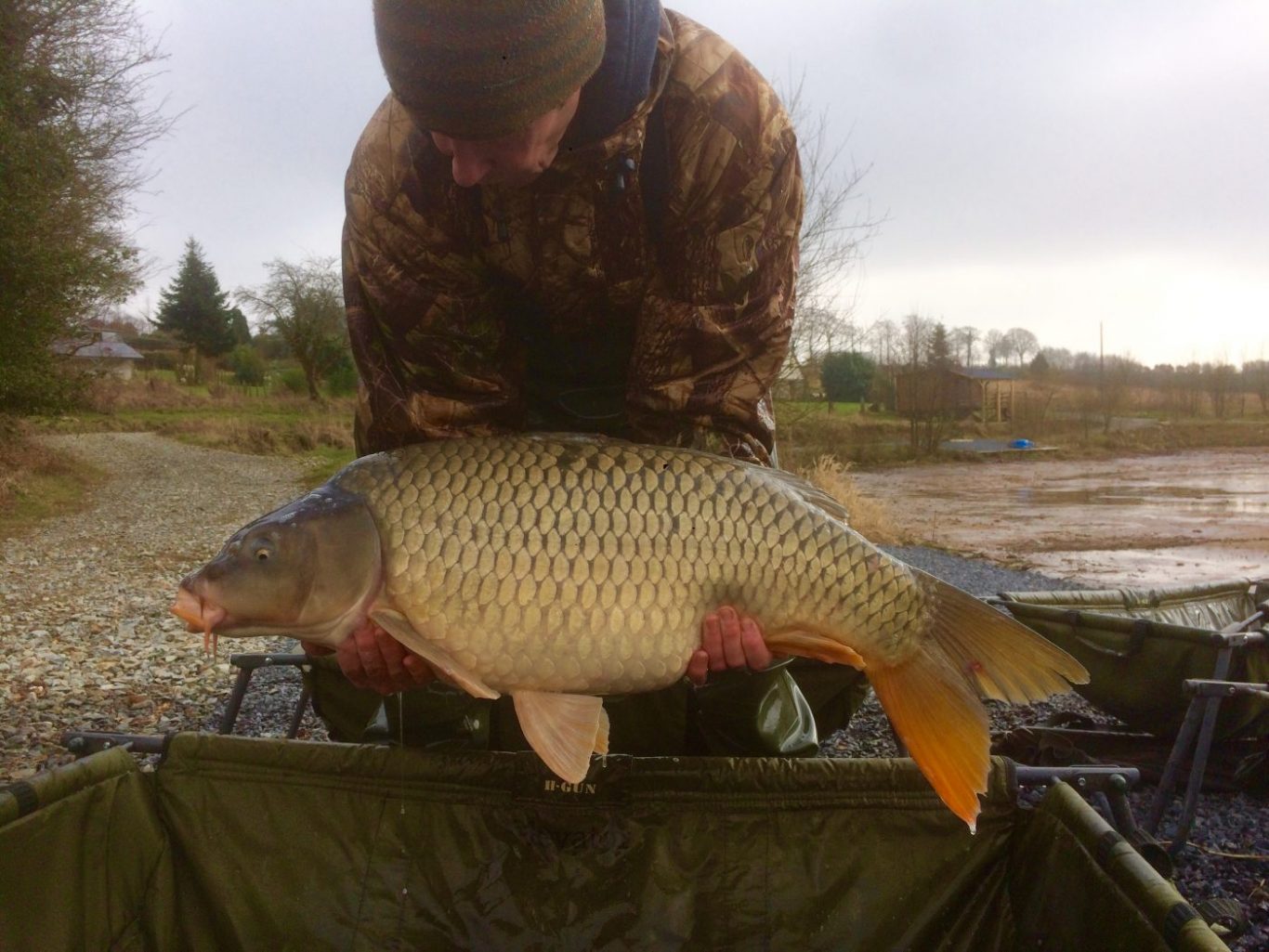 F1 L Angottiere Carp Fishery