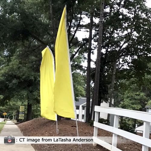 Solid Color Feather Flags Carrot Top Flags - High Quality Landscape Texture - Desktop