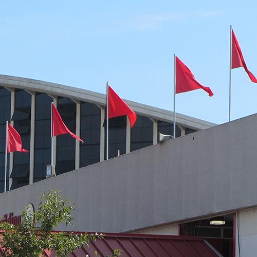 Solid Colored Flags Carrot Top Flags - Best Landscape Patterns in HD