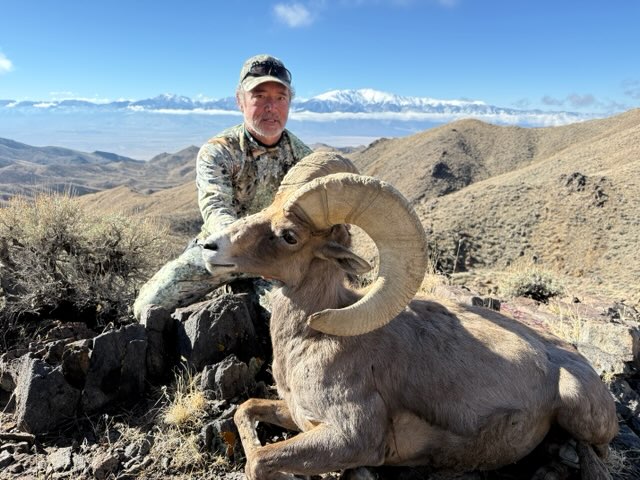 Carson Area Fishing Report: Big Horn Sheep, Huge Rainbow Trout & Winter bite insights (2026)