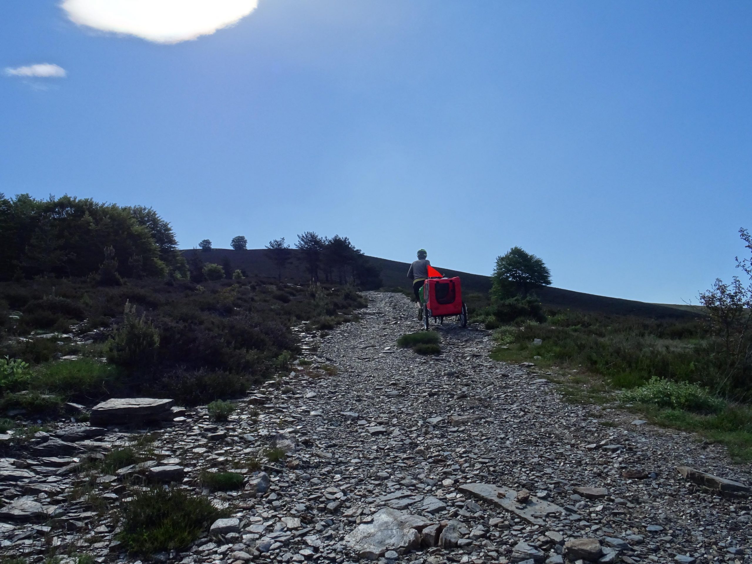 Ça grimpe vers le Signal du Bougès