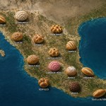 Exploring the new Mexican bread map