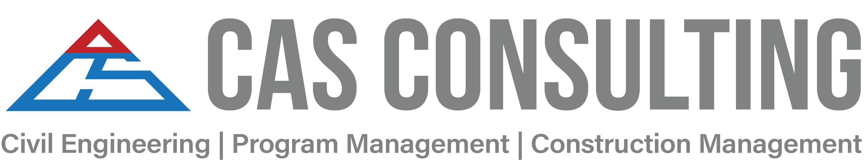 Cas Consulting Services Inc