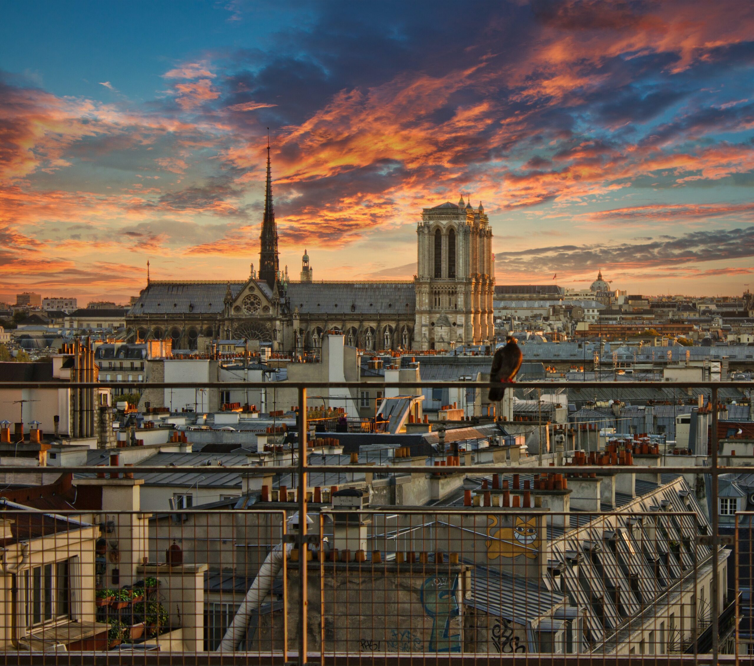Unlock Notre Dame: Mastering The Common Data Set - tu887cp