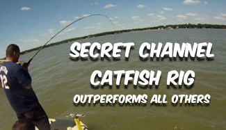 Secret Catfish Rig