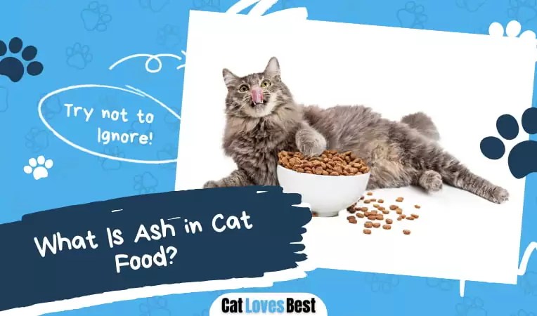 What is ash in cat food?