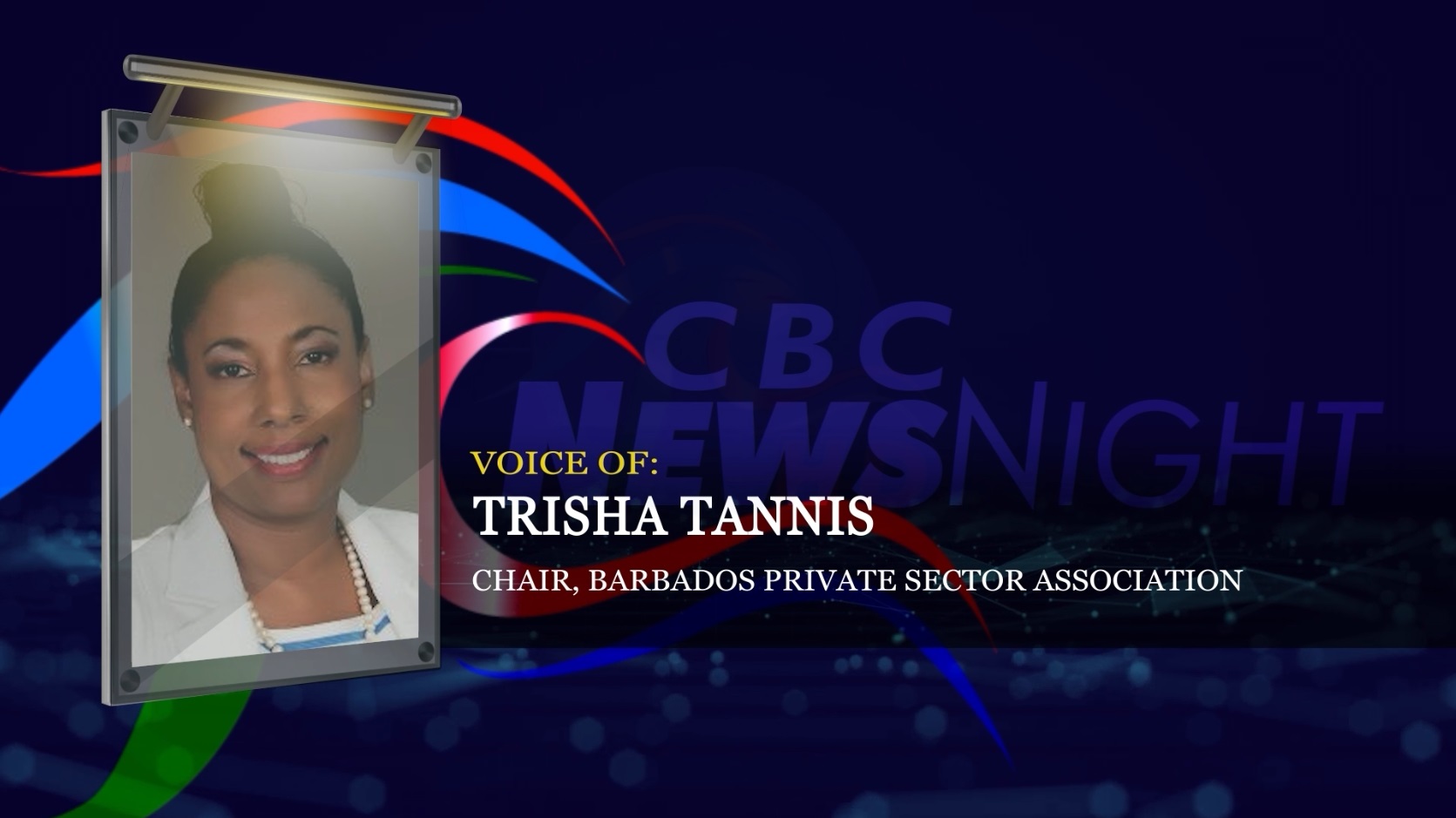 BERT Plan Monitoring Committee Releases Report Caribbean TRISHA TANNIS 