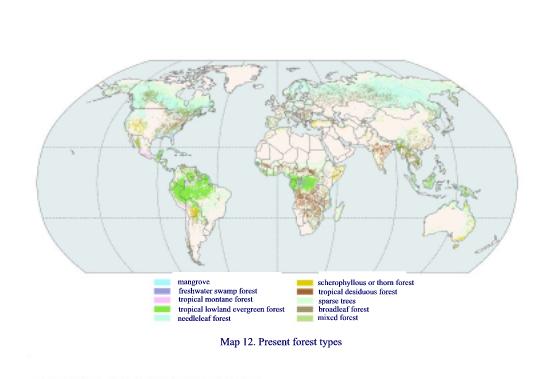 Montane Forest Map MAP12.