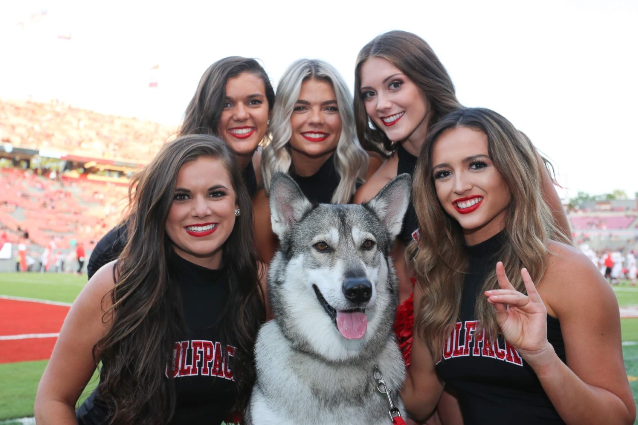 wallpapers North Carolina State University Mascot cbs 17