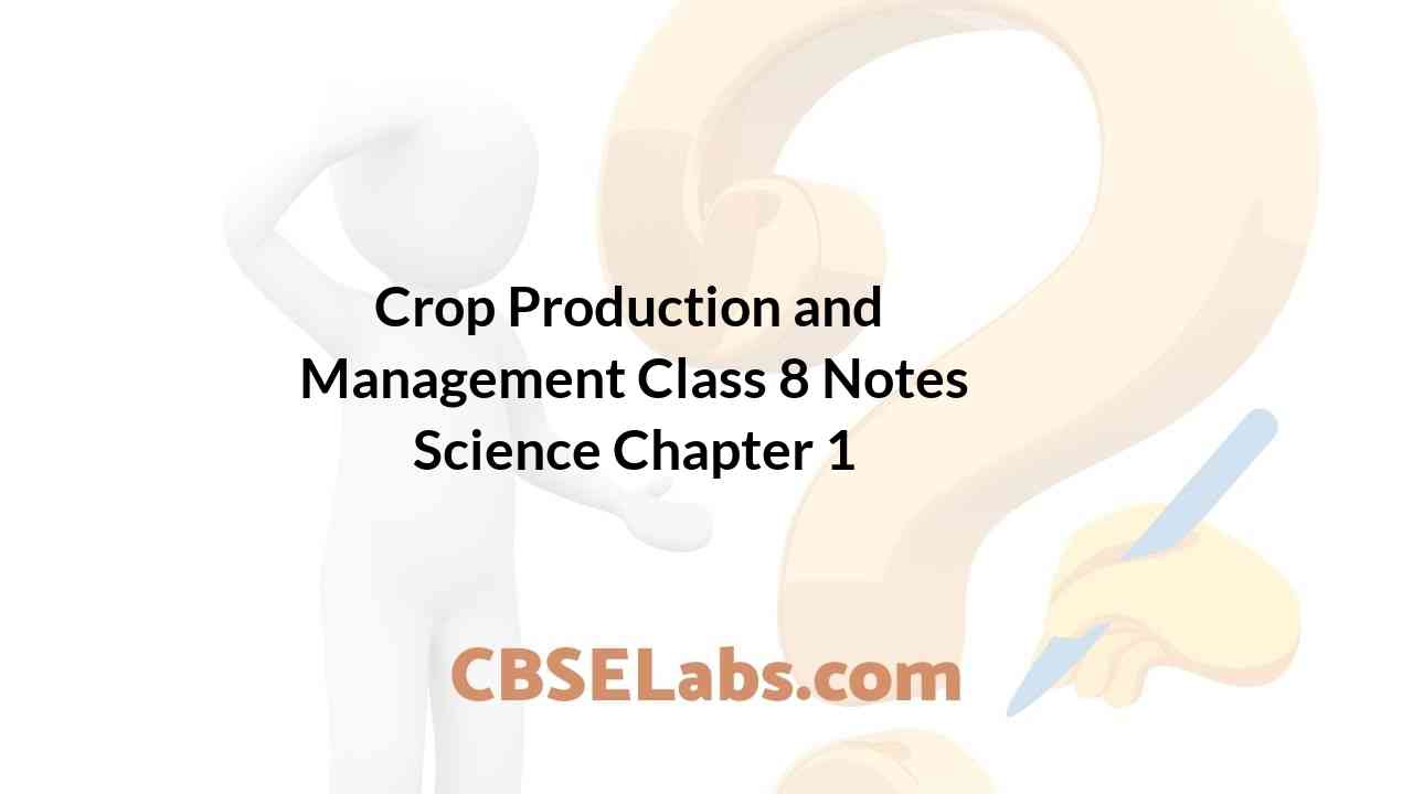 Crop Production and Management Class 8 Notes Science Chapter 1 CBSE Labs