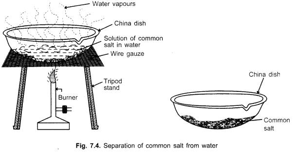 CBSE Class 9 Science Practical Skills – Separation of Mixture – CBSE Sample  Papers