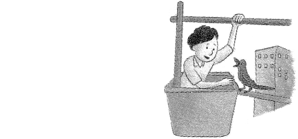 non finite verbs exercises with answers for class 8 cbse cbse sample papers