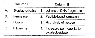 NEET Biology Mock Test 2 8