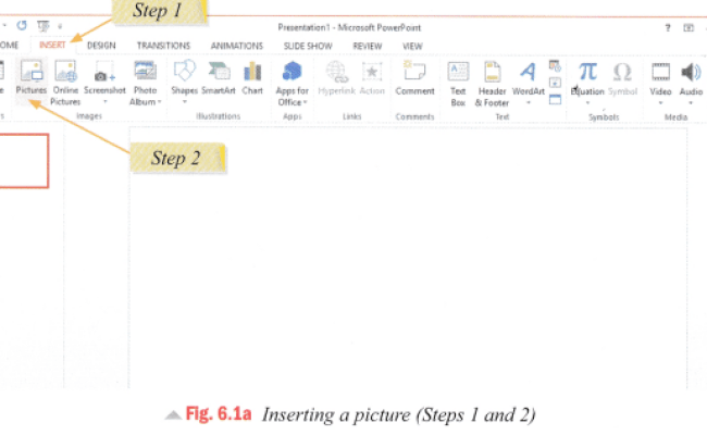 CBSE Notes For Class 5 Computer In Action - Working With Slides In ...