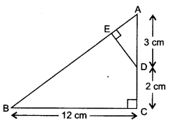 Triangles Class 10 Maths CBSE Important Questions With Solutions 113