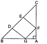 Triangles Class 10 Maths CBSE Important Questions With Solutions 115