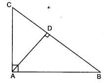Triangles Class 10 Maths CBSE Important Questions With Solutions 125
