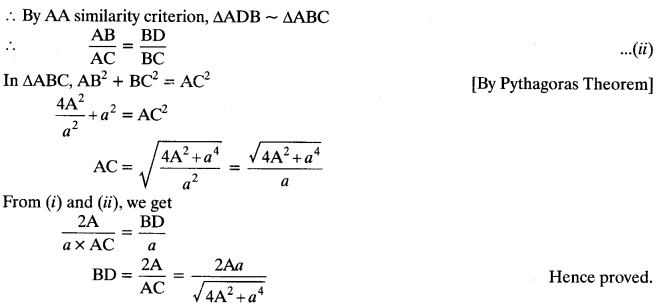 Triangles Class 10 Maths CBSE Important Questions With Solutions 47