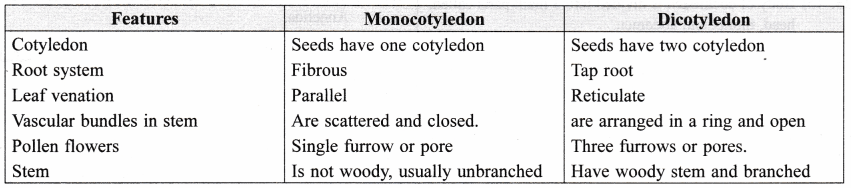 The following list includes bo. Ncert Class 9 Science Lab Manual Features Of Monocot And Dicot Plants Cbse Tuts