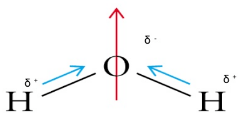 How do we draw the dipole moment of a water molecule Img 3