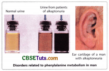 Concept of Gene - Characteristics, Structure and Properties of Gene 2