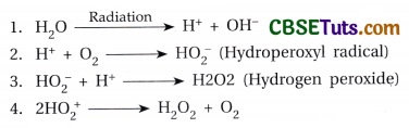 Mechanism of the Development of Variation - Mutation and Recombination 29