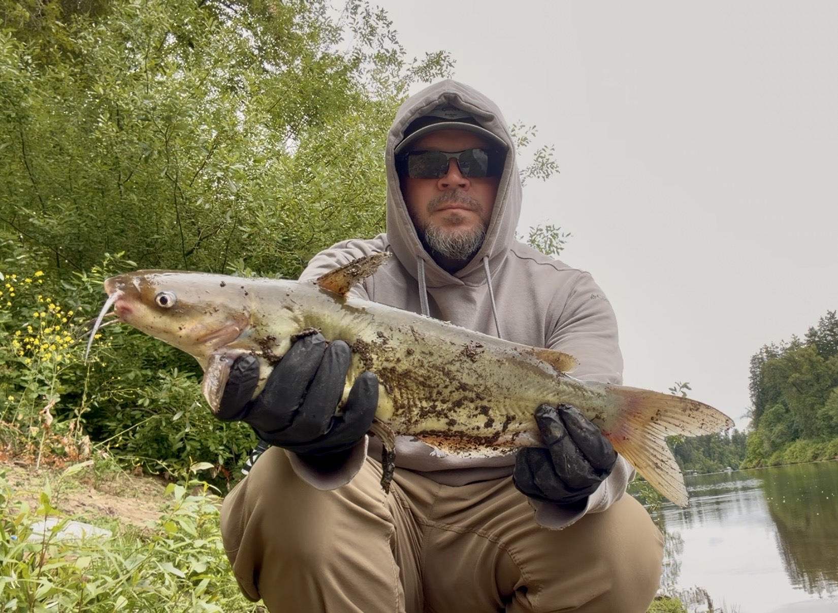 Nic Sonne / Channel Catfish