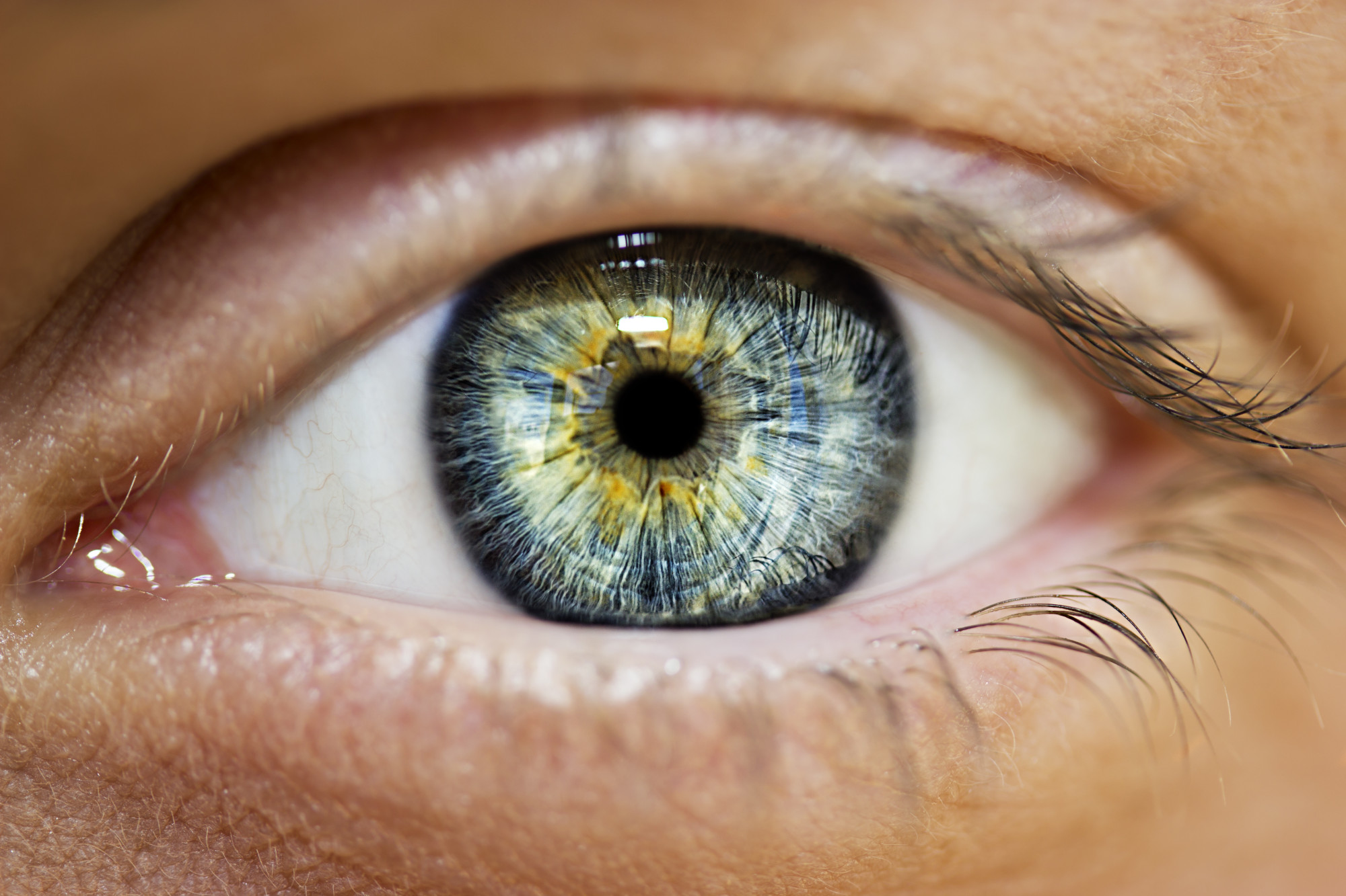 The retina serves a function which is in many ways analogous to that of the film or image sensor in a camera. Retina Problems Warning Signs You May Have A Retinal Disease Drs Campbell Cunningham Taylor And Haun