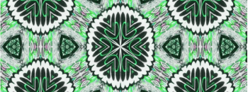 EPPN 6