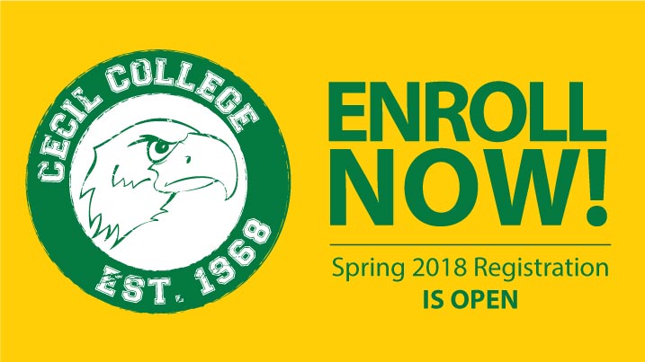 Cecil college — own your future