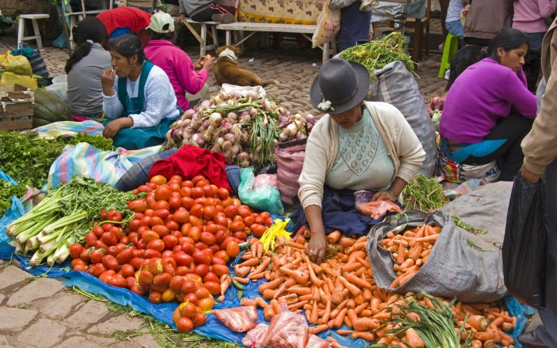 https://www.celag.org/wp-content/uploads/2018/07/Peru-nico-scaled.jpg https://www.celag.org/wp-content/uploads/2018/07/Peru-nico-scaled.jpg