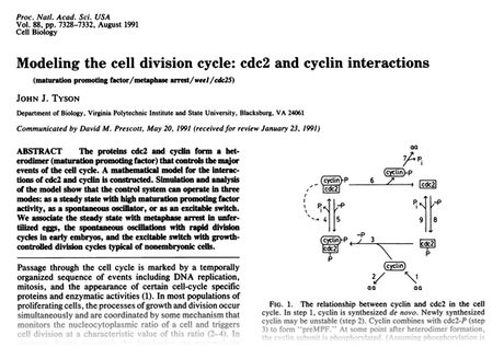 Graphical Notation For Cellml Networks Cellml - Ultra HD Mountain Textures for Desktop