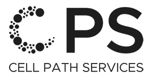 Cell Path Services Youtube - Download Elegant Landscape Photo | High Resolution