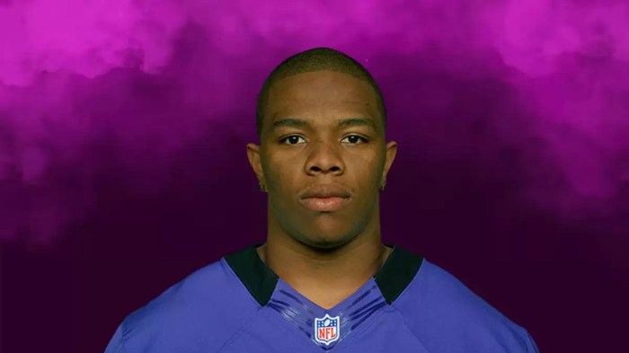 Net worth of ray rice