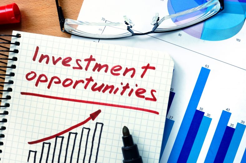 New Business Investment Opportunities