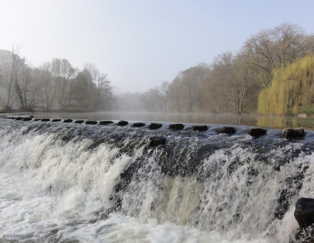 Le soleil est levé sur la Sèvre, le 12 mars 2014 à 10:40