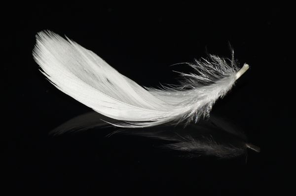 The Fortunate Fall: How Leaning into Failure Can Lead to Transformation