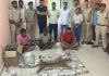 CG: बाघ के तस्कर गिरोह को पकड़ने में वन विभाग को मिली बड़ी कामयाबी,अभी तक 39 आरोपियों को भेजा गया जेल