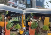 ऐसा प्रकृति प्रेमी ढूंढने से भी नहीं मिलेगा! शख्स ने अपने ऑटो को पौधों से सजाया, Video जीत लेगा आपका दिल