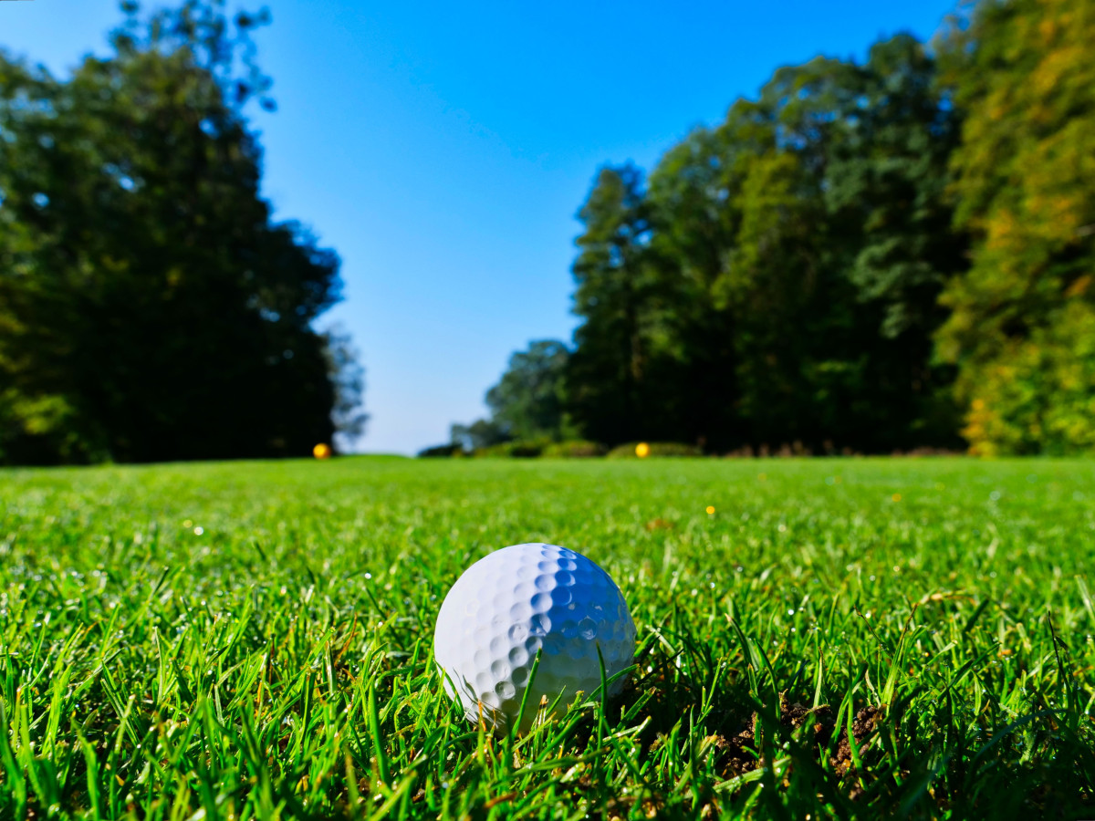Picture taken from low down of a golf ball in some green grass. Trees line the sides of the image and the sky is blue.