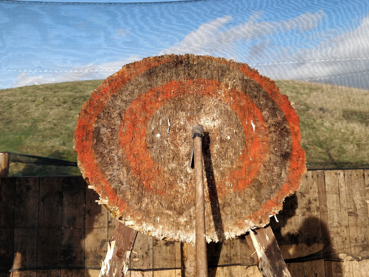 A circular wooden target with red rings painted on it used for axe throwing. An axe is lodged in the centre.