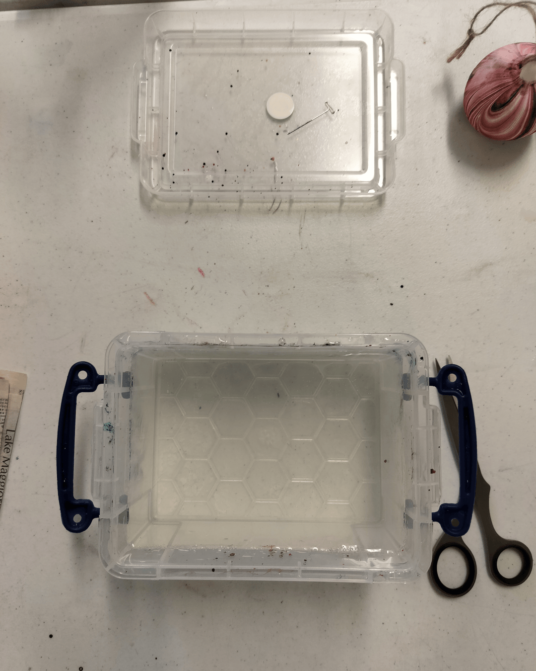 A perspex container on a table. The lid is to the side. There are a pair of scissors, and the container is holding a clear liquid.